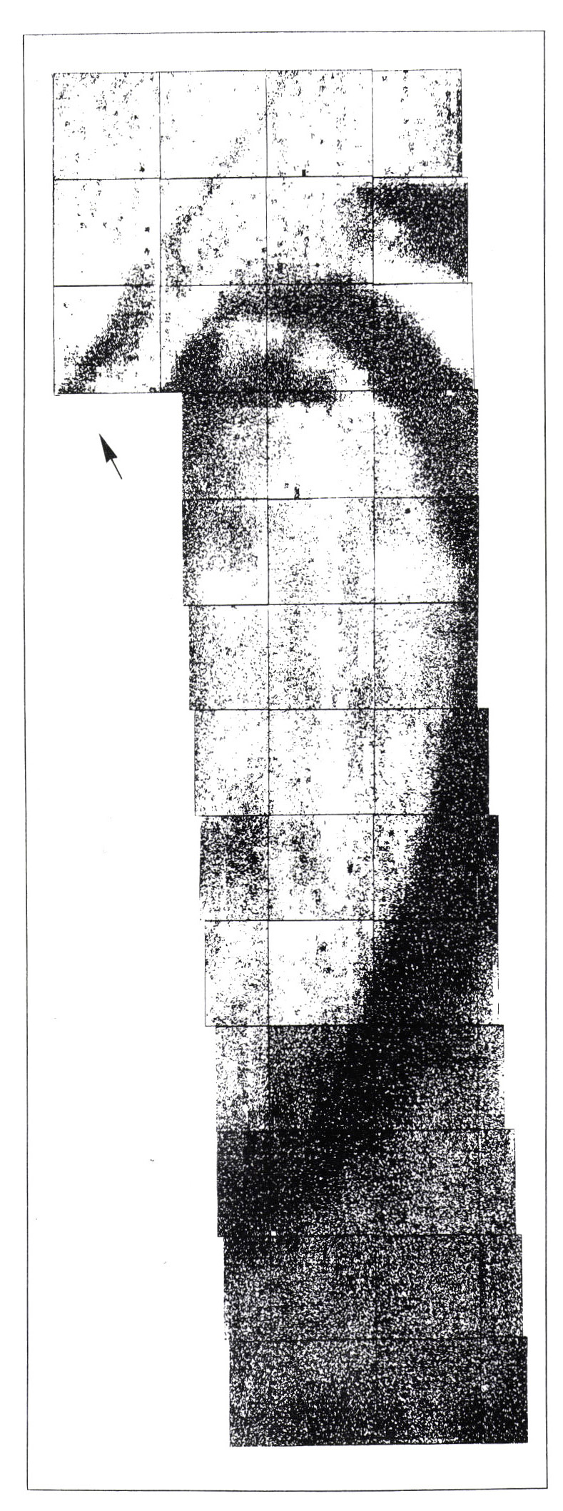 Fig. 2 - Canova - prospezioni elettriche sui campi 1 (parte), 2 (parte) e 3: rappresentazione bi-dimensionale a matrice di densità di punti ("dot density matrix") dei valori di resistività (prospezioni ed elaborazione grafica computerizzata di P. Howard - Univ. of Durham-G.B.).