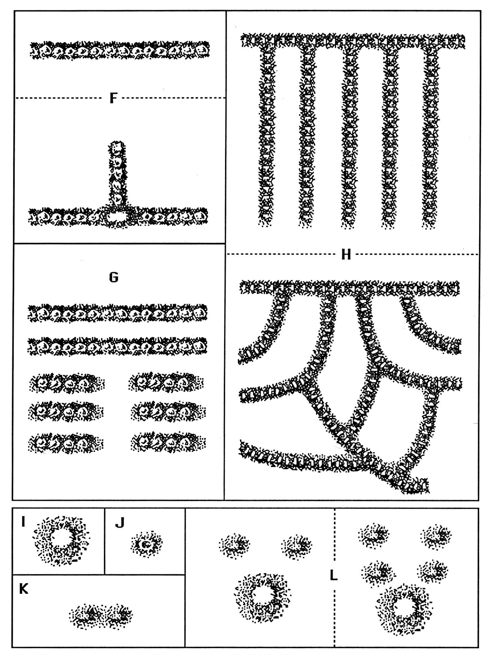 Fig. 7 - Decoraciones inciso-impresas del Bronce Antigua. 1, La Muela del Sabucar (Alfambra, Teruel) (1960 B.C.) 2, Las Costeras (Formiche Bajo, Teruel) (1780-1660 B.C.).