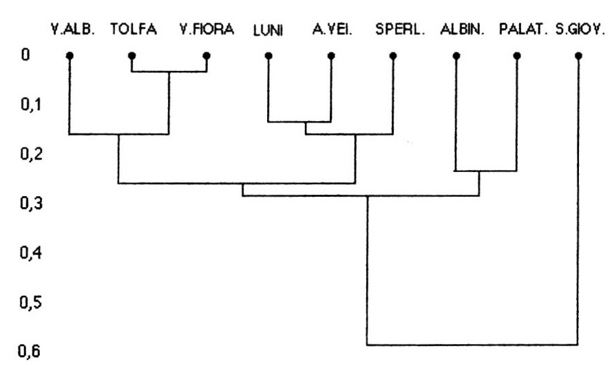 Fig. 4 - Dendrogramma (A.VEI = ·Ager Veientanus).