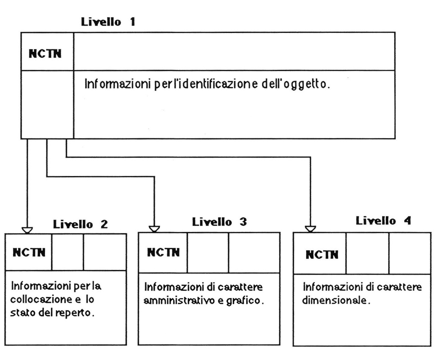 Fig. 1 - Livelli fondamentali di organizzazione di un nodo.