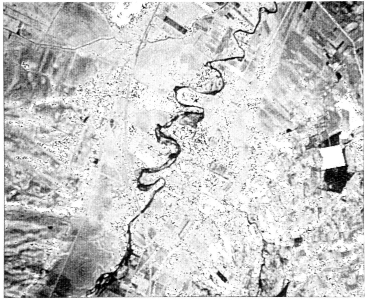 Fig. 2 - Foca aerea digitalizzata equalizzata.