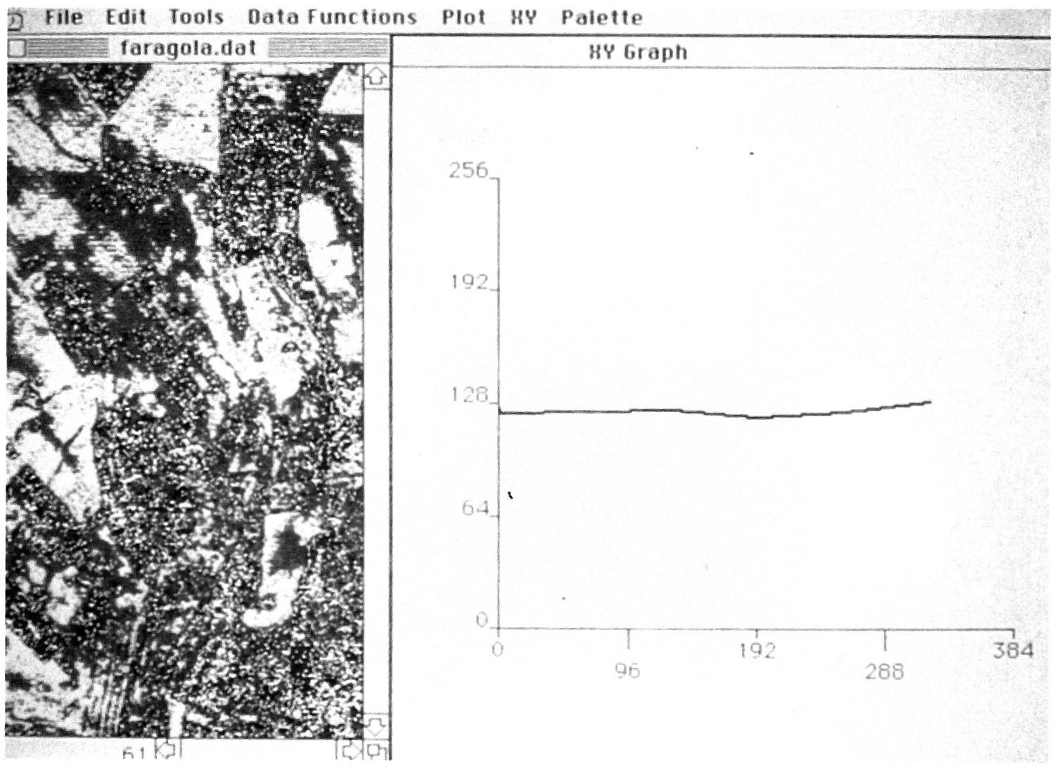 Fig. 3 - Pseudo-color processing della foto aerea di Ascoli Satriano: identificazione automatica di un sito archeologico mai indagato sul territorio.