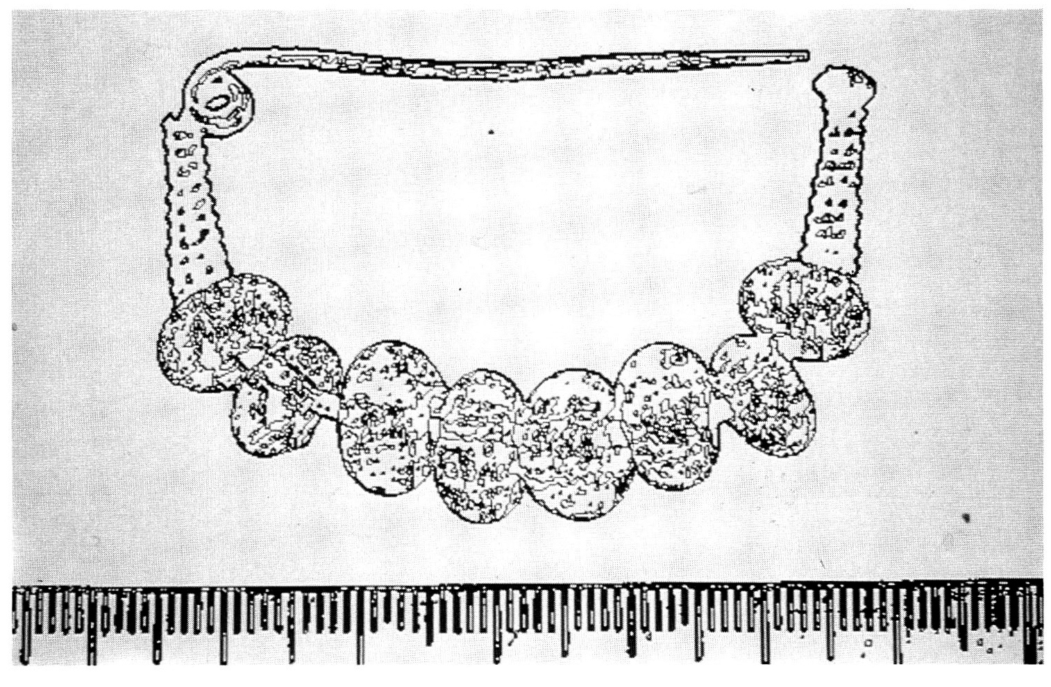 Fig. 10 - Fibula villanoviana da Castenaso (BO): elaborazione mediante analisi a soglie.