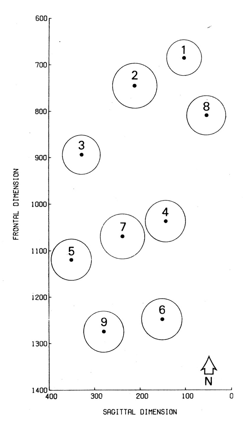 Fig. 5 - Distribuzione spaziale ed estensione dei nove "clusters" (seconda soluzione iterativa della "k-means cluster analysis") per lo strato V del giacimento del Paleolitico superiore del Flageolet I in Dordogna (da SIMEK et al. 1985).