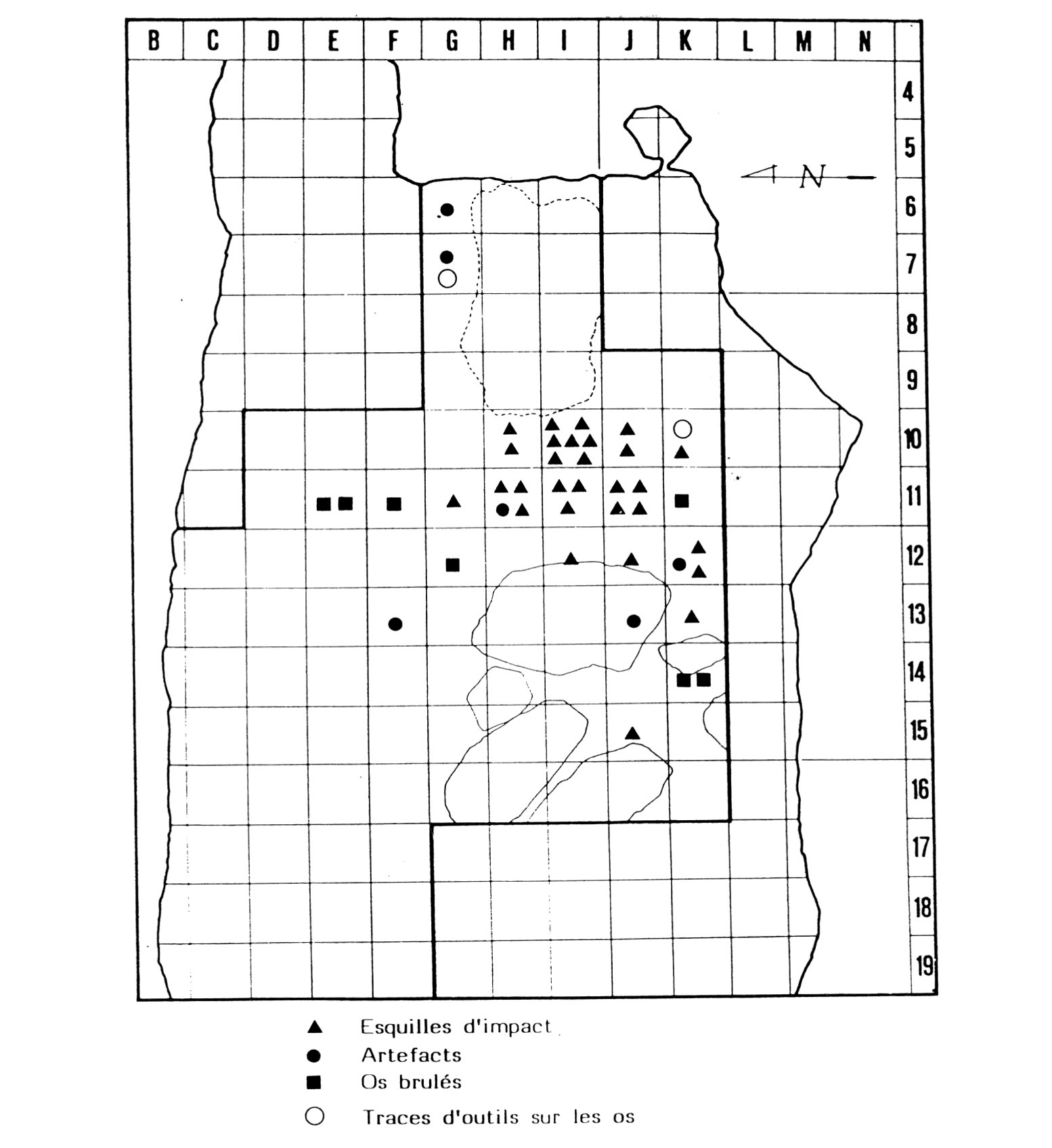 Fig. 17 - Ripartizione spaziale nello strato VIII di Grotta Vaufrey degli oggetti ossei che rivela­ no tracce di attività umana (da BINFORD 1988).