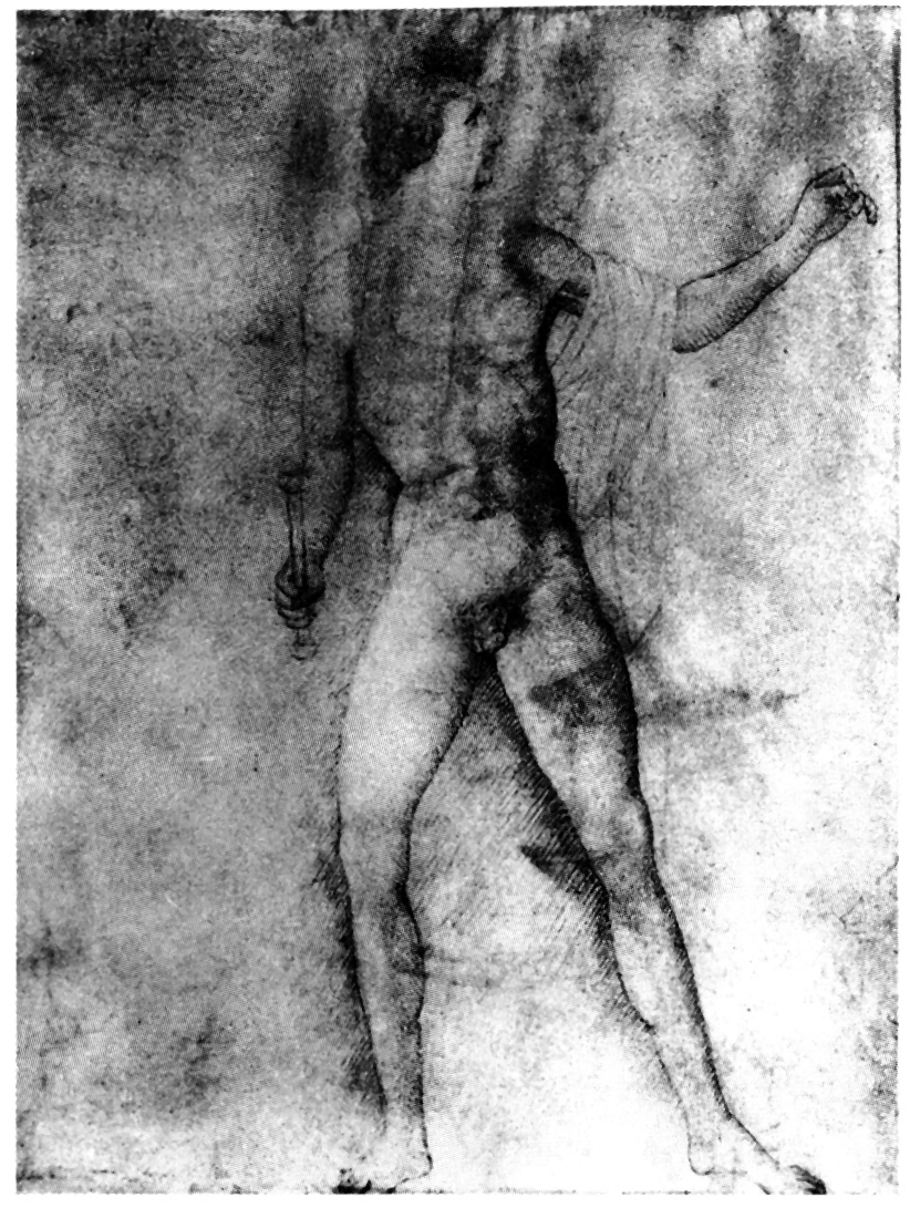 Fig. 3 - Pisanello: Drawing after the Horsetamer of the OPUS PHIDIAE; Milan, Biblioteca Ambrosiana.