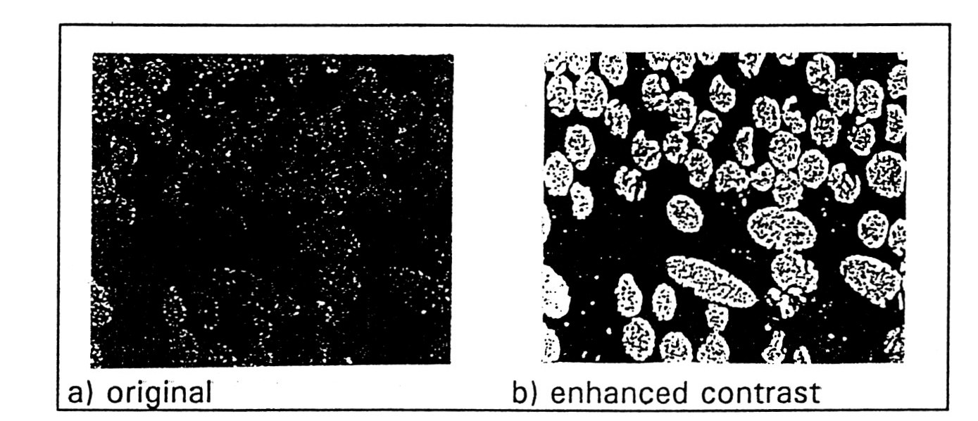 Fig. 2 - Glas fibers in a matrix.