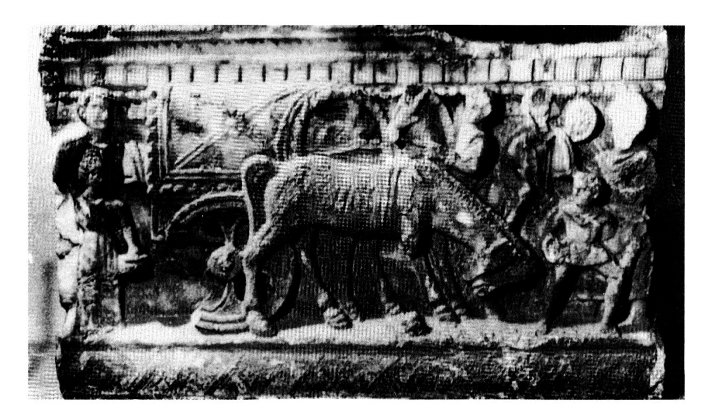Random image from article 5