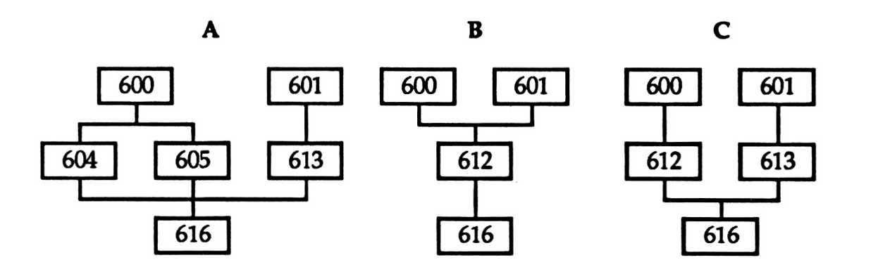 Fig. 4 - Topologically correct matrix modification.