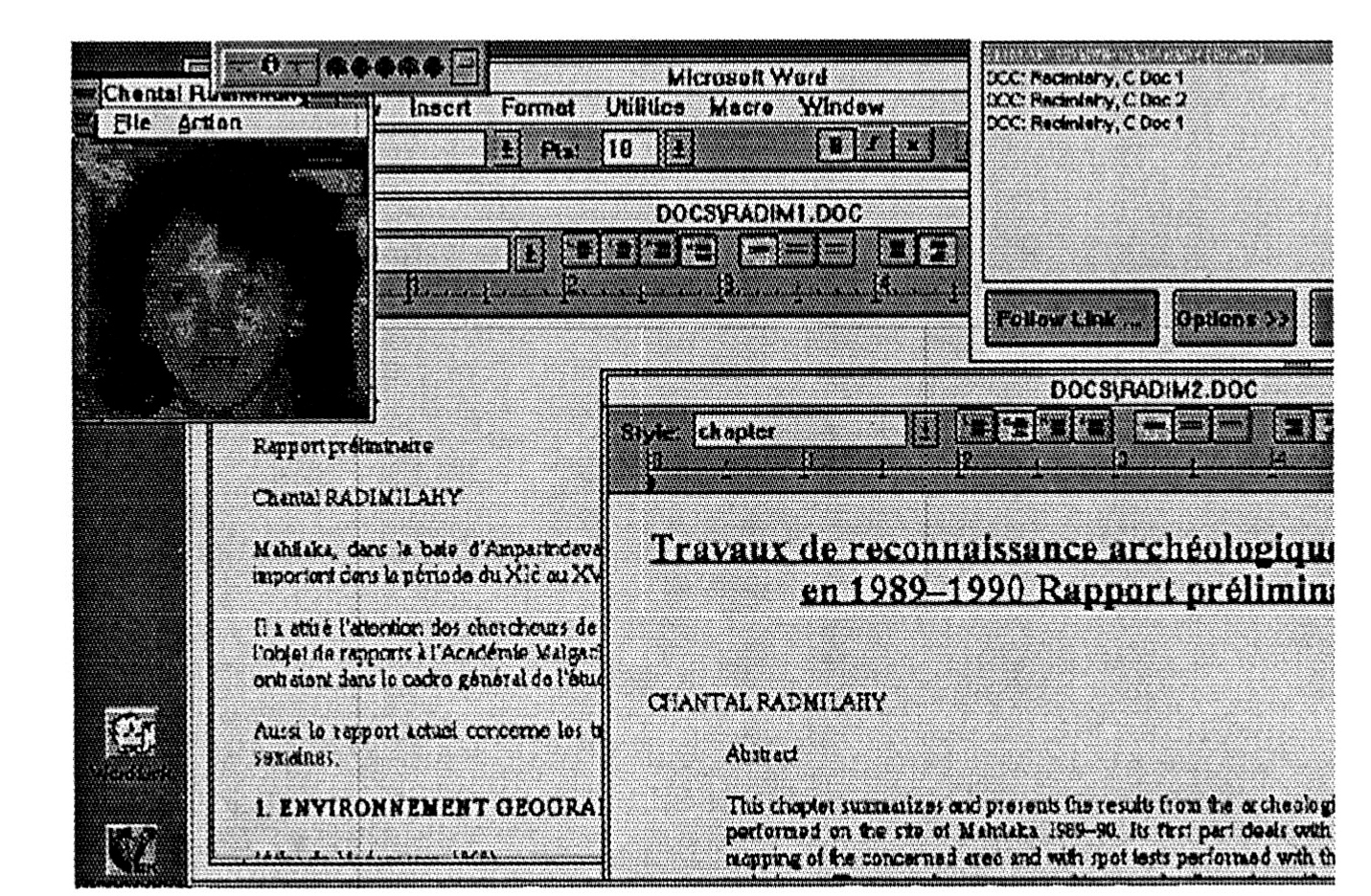 Fig. 4 - After linking, two documents and a protograph.