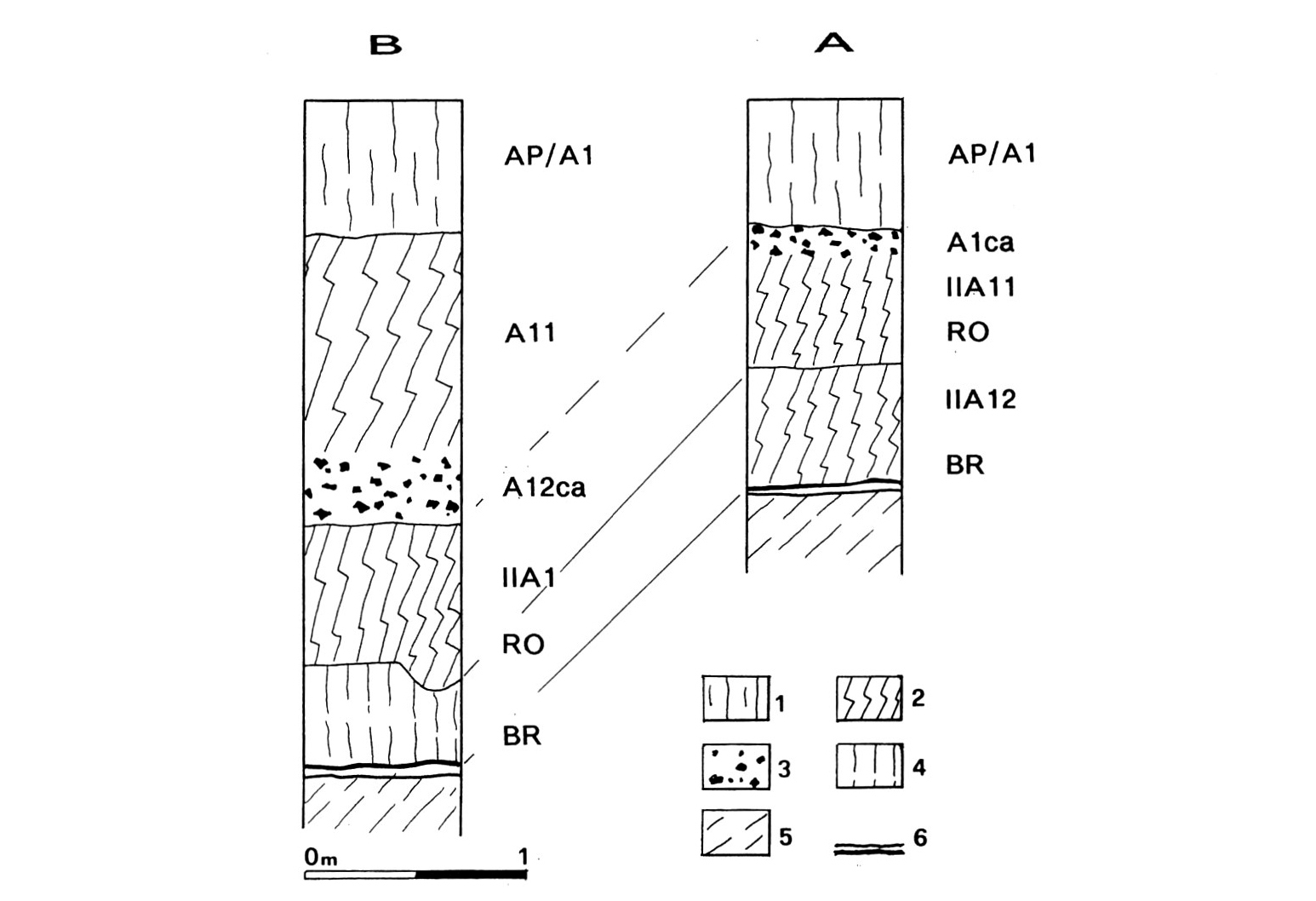 Fig. 2 - Sezioni stratigrafiche del riempimento del fossato della terramara di S. Rosa: 1 - orizzonte arativo; 2 - vertisuoli; 3 - concrezioni di carbonato di calcio; 4 - limi argillosi massivi; 5 - substrato; 6 - limite inferiore dei fossati.