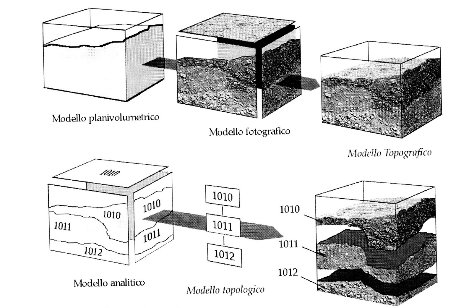 Fig. 2 - Integrazione dei modelli interpretativi.