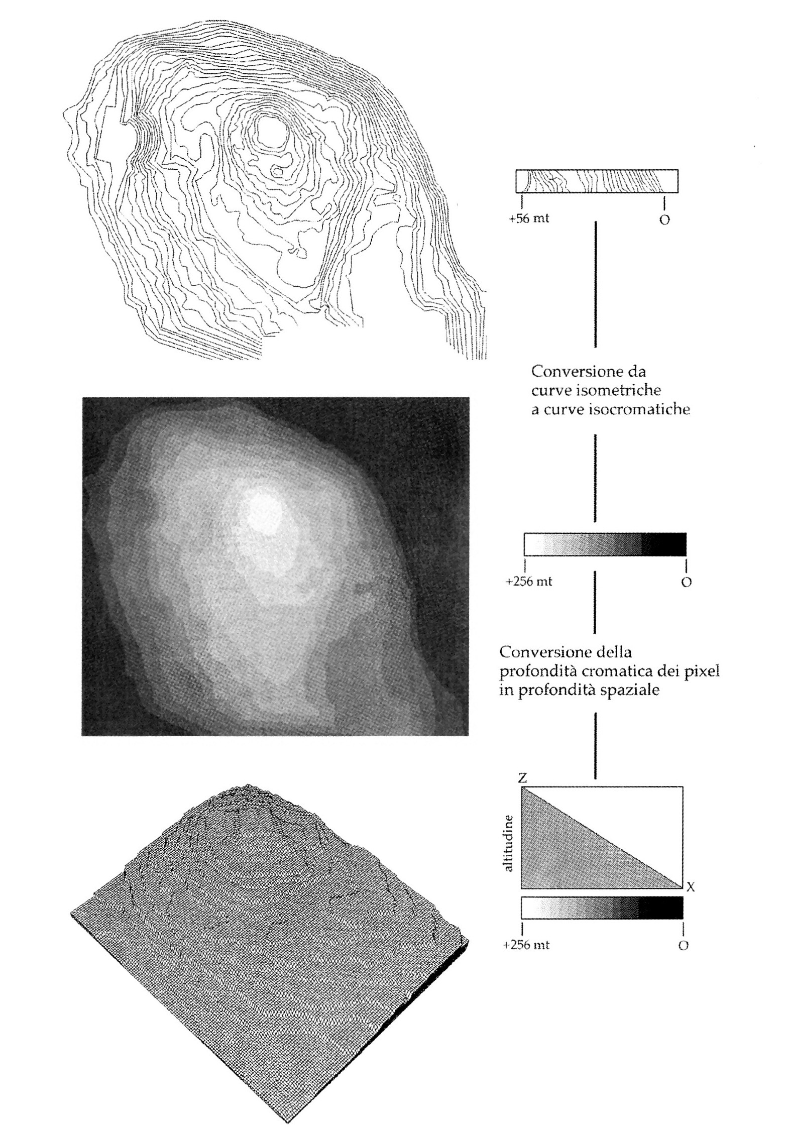 Fig. 7- Modello DTM (Digitai Terrain Model) di Monte Barbaro, scavi archeologici del castello di Segesta, ~rrapani. Nell'elaborazione digitale di modelli topogra1ici del terreno alla grande sca1a è possibile automatizzare le procedure di conversione dei dati cartografici (isoipse) in modello 3D. Nel caso descritto, il modello DTM viene direttamente ricavato dall'immagine raster delle isoipse del sito, acquisite tramite scanner dalla base cartografica (elaborazione A. Gottarelli).