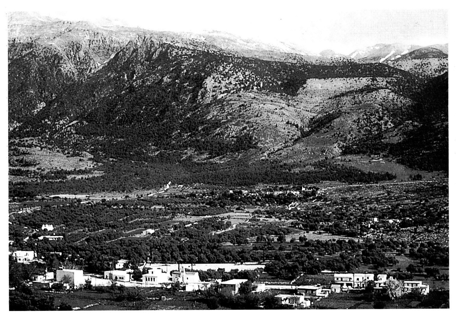 Fig. 3 - Anopolis plain, looking north to White Mountains.