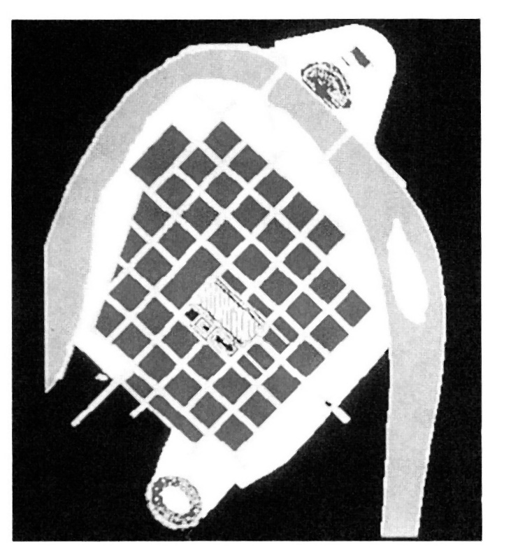 Fig. 3 - Rielaborazione schematica della pianta di Verona romana (Foto G. Aureggi).