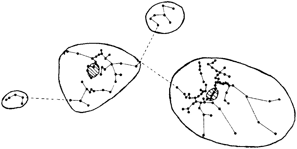 Fig. 1 – Concentrations révélées par l’application manuelle del’arbre de plus court chemin (DjinDjian1991): distribution spatiale desperçoirs delasection 36dusitedePincevent.