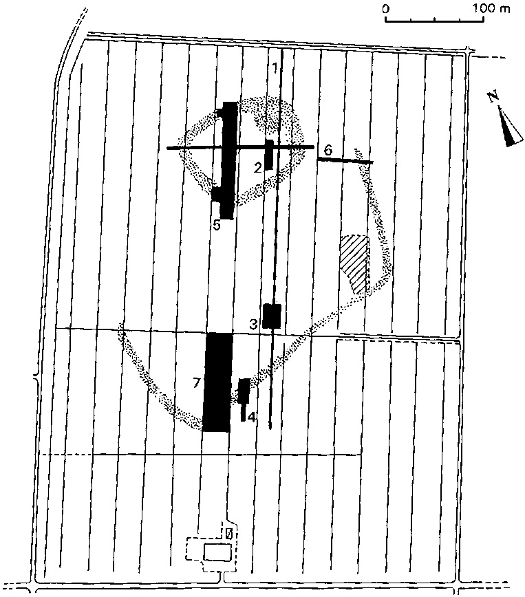 Fig. 2 – Map of the S. Rosa terramara. Dotted areas indicate ramparts as they appear in aerial photographs; in grey, area excavated up to now.