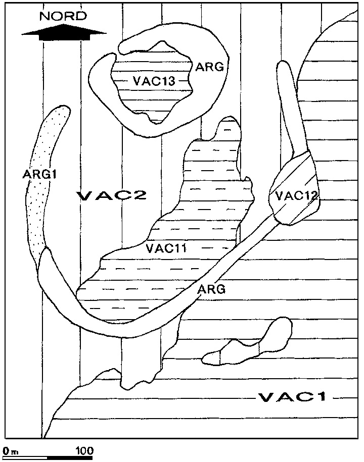 Fig. 3 – Main soilseries in thearea ofthe terramara. VAC1 indicates the‘serie estense’ ofchromoxerert developed onearly medieval fine textured alluvium; VAC2indicates the ‘serie fiuma’ developed on latemedieval fine textured flood deposits (after CreMasChietal. 1994).