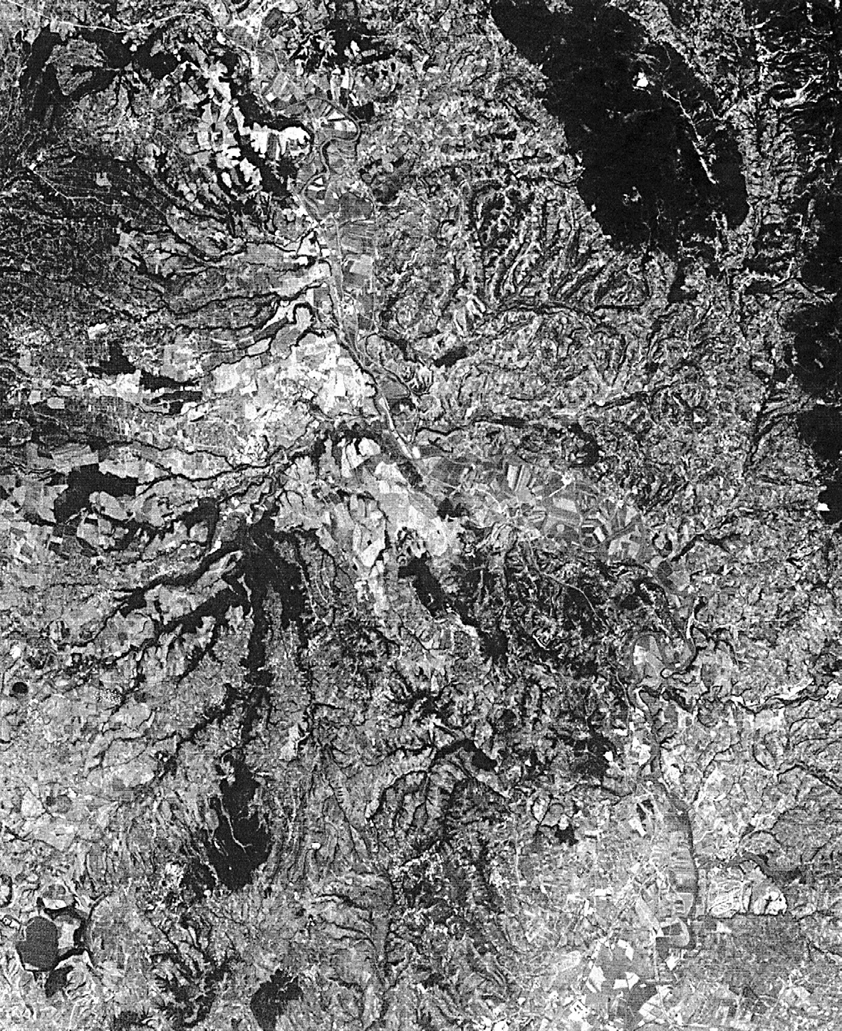 Fig. 2 – Immagine LANDSAT della zona di indagine elaborata in toni di grigio.