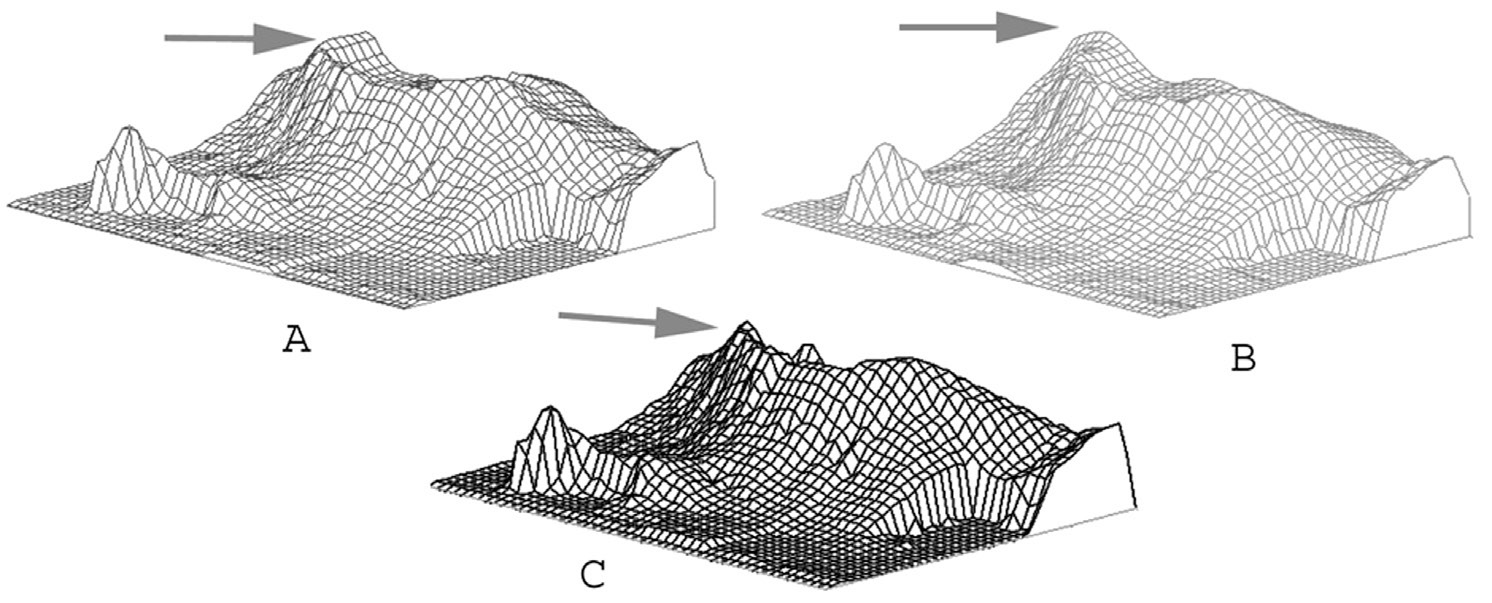 Fig. 4 – Differenti metodi di interpolazione adoperati con il programma Surfer per l’elaborazione del modello tridimensionale dell’area di Cuma; le frecce indicano alcune evidenti difformità tra i modelli ricostruiti. A) metodo kriging; B) metodo minimum curvature; C) metodo TIN.