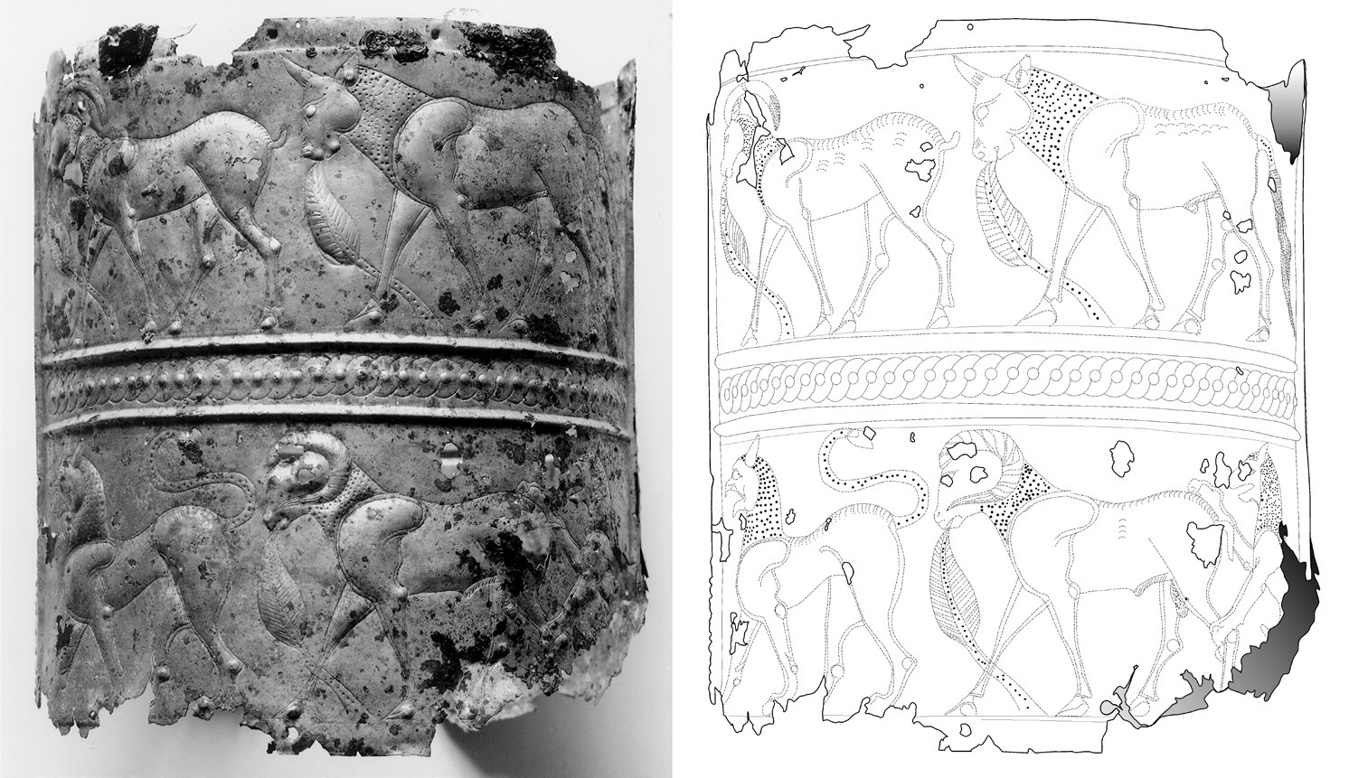 Fig. 3 – Lamina di rivestimento della parte esterna del mozzo.