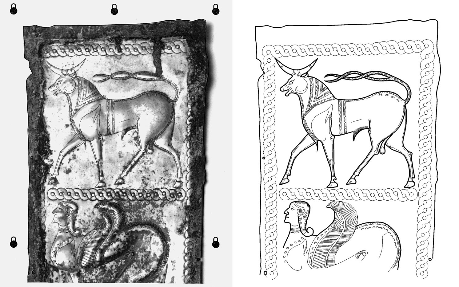 Fig. 6 – Scansione della fotografia di una lamina di rivestimento, in formato raster TIF,con isettaggi utili.