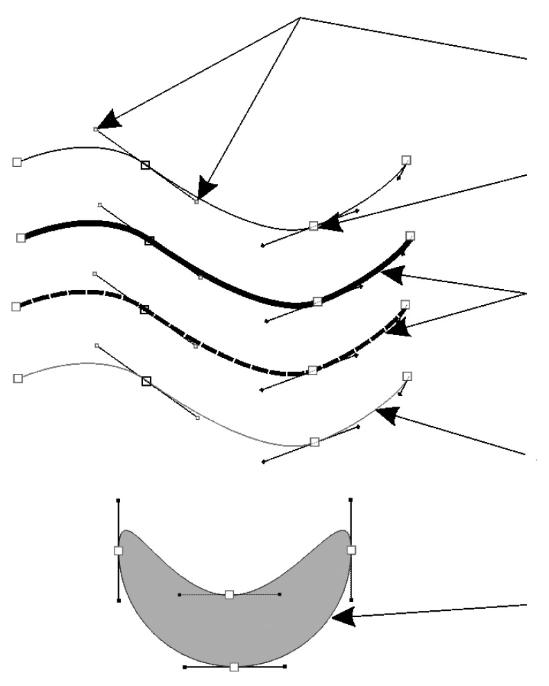 Fig. 9 – Punti di controllo; punto nodale; segmento a spessore variabile o a tratteggio (al segmento si possono attribuire diversi colori o trasparenze); forme chiuse campite.