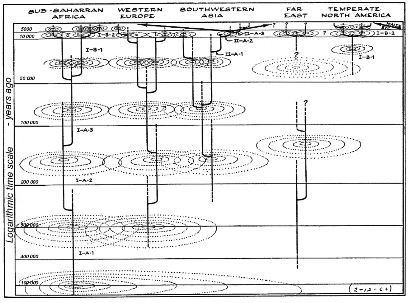 Fig. 1 – The model presented byRobert Braidwood intheChicago 1959 congress (from Braidwood1960).