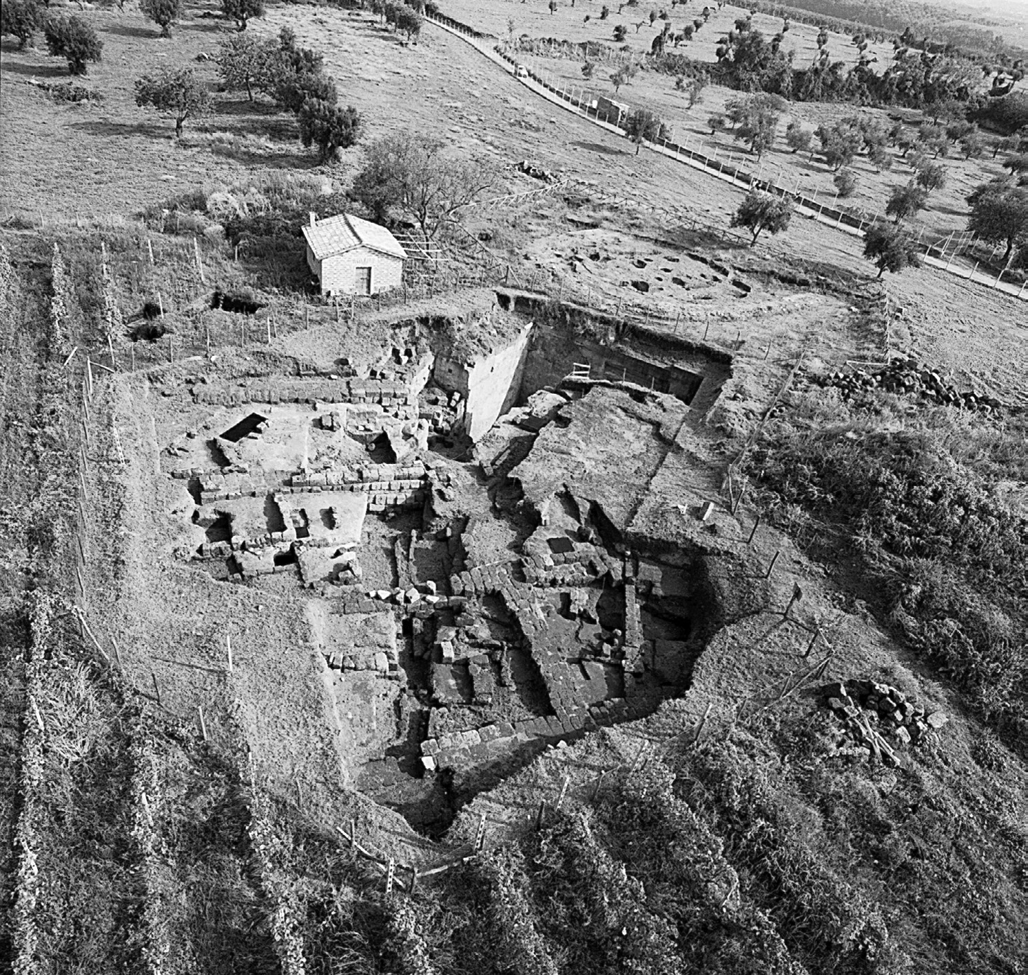 Fig. 1 – A view of the urban plateau and the Vigna Parrocchiale excavation.