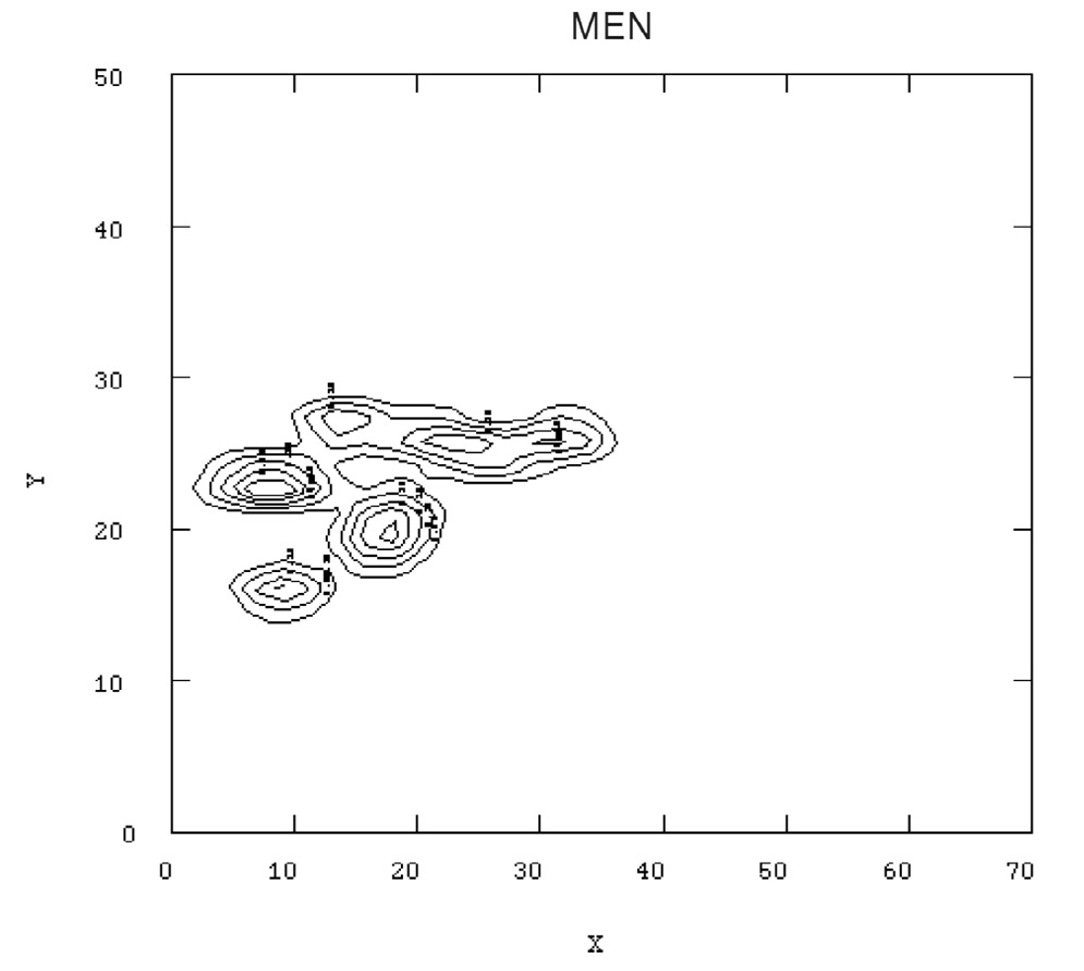 Fig. 4 – The Iron Age cemetery of Carmona. Kernel Density Map for male burials. It shows their spatial concentration.