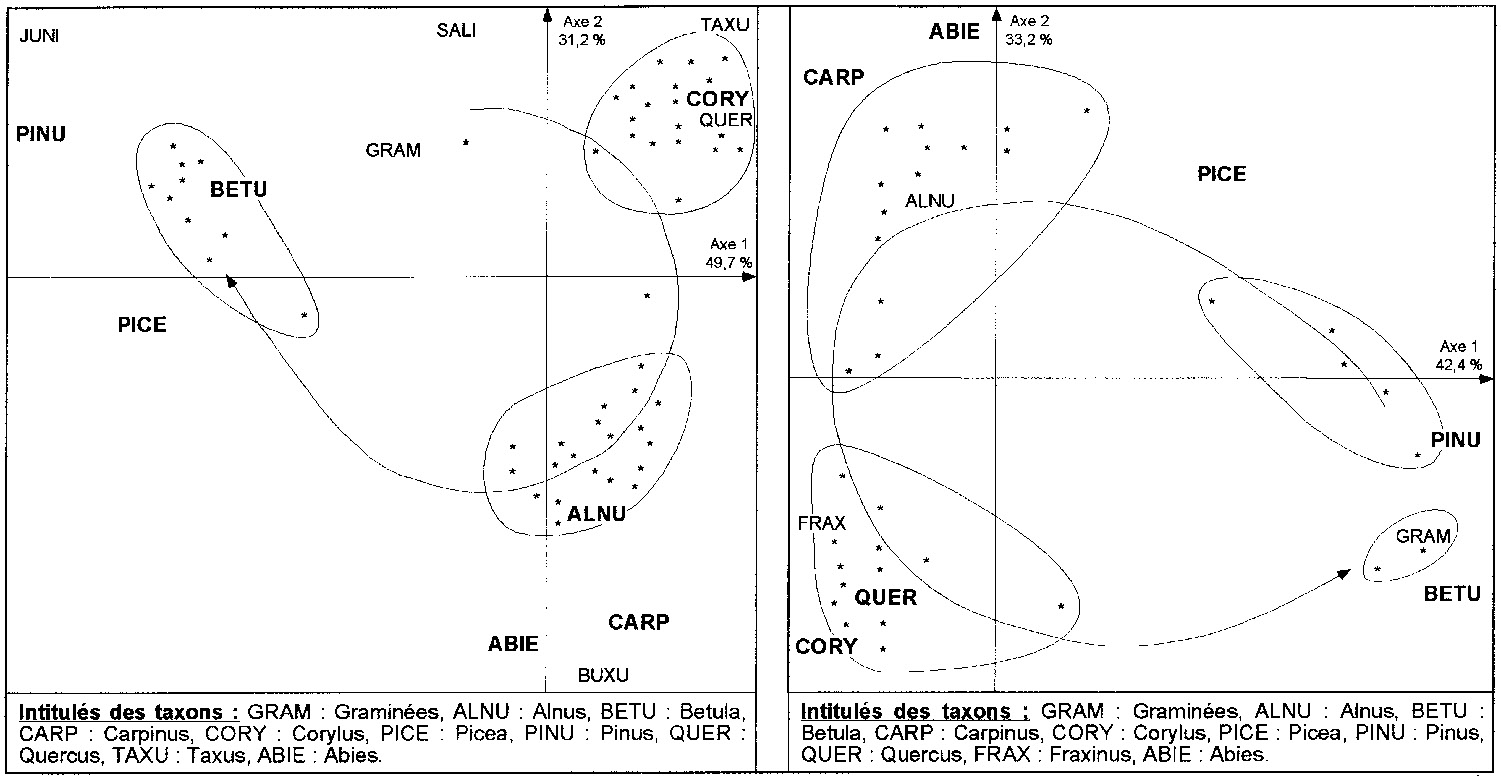 Fig. 7 – L’Eemien à la tourbière de La Grande Pile. Faciès de végétation forestière révélés par le plan factoriel 1-2 de l’Analyse des Correspondances. A gauche: carotte X, à droite: carotte XX (les variables responsables de la signification des axes sont figurées en gras).