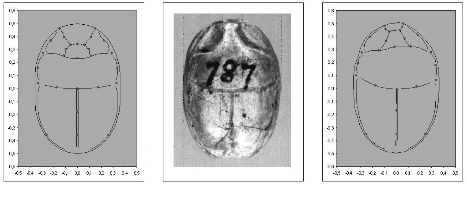 Fig. 3 – The use of landmarks for the description of Egyptian scarabs: a) the landmarks of an ideal scarab; b) the scarab 787 of Florence Museo Egizio (Andrenucci, Andrenucci2002); c) the landmarks of the scarab 787.