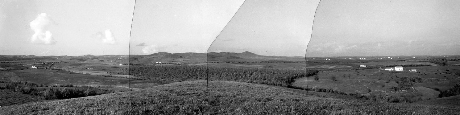 Fig. 6 – Panorama (photographed and mounted by Ward-Perkins, 1960) looking north from the north end of Veii. The tumuli at Monte Aguzzo is clearly visible in the centre of the photo (Photograph reproduced with the permission of the British School at Rome Library Archive, Ward-Perkins archive no. 1035.10-13).