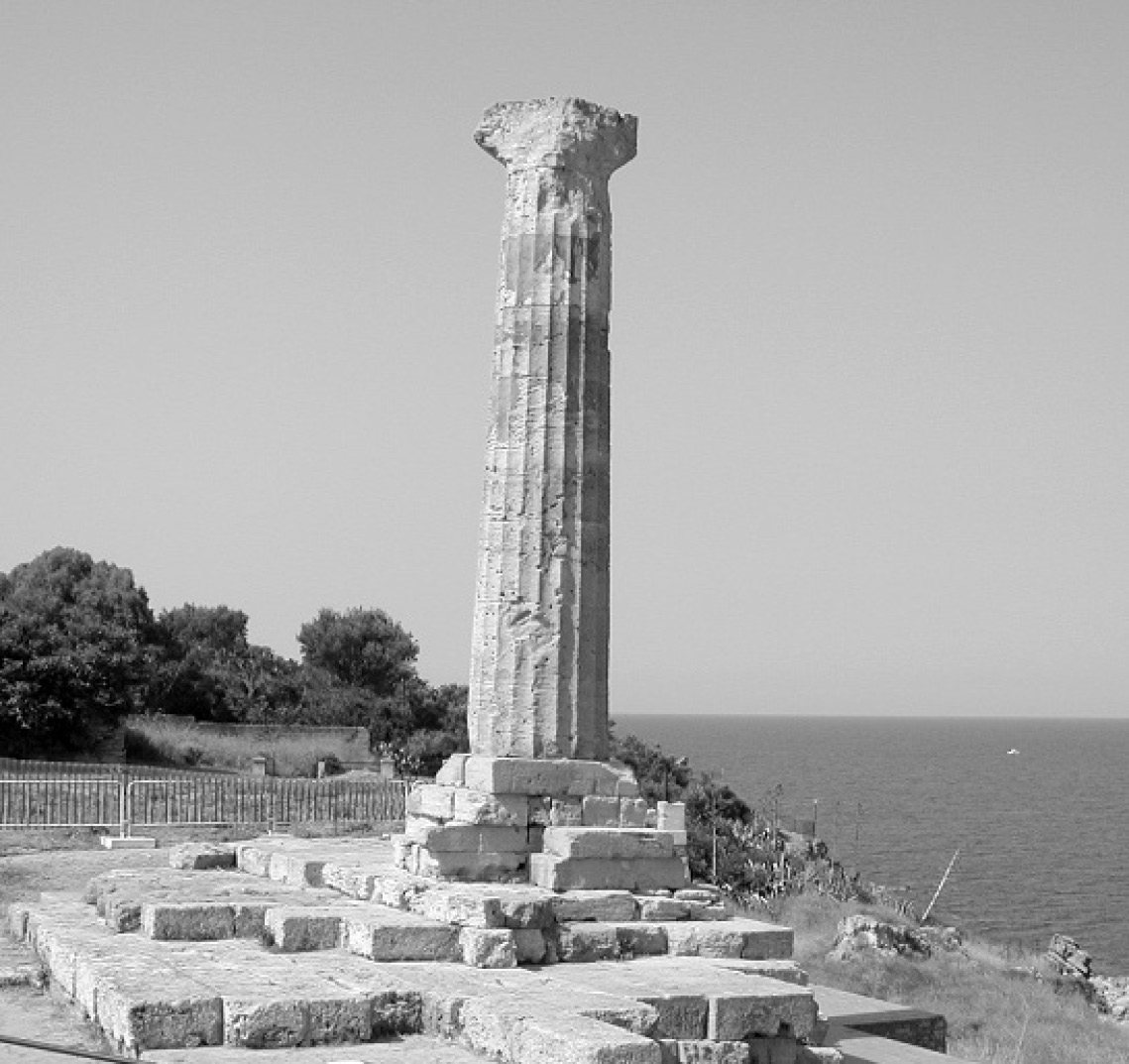 Fig. 8 – Colonna del Tempio di Hera Lacinia, Capo Colonna (Crotone).