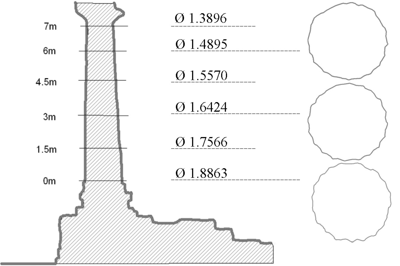 Fig. 10 – Estrapolazione delle sezioni della colonna del Tempio.