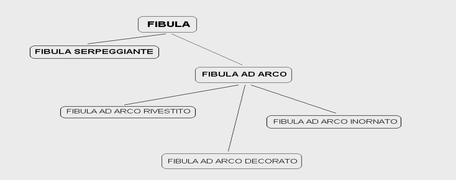 Fig. 5 – Risultato dell’analisi tassonomica.