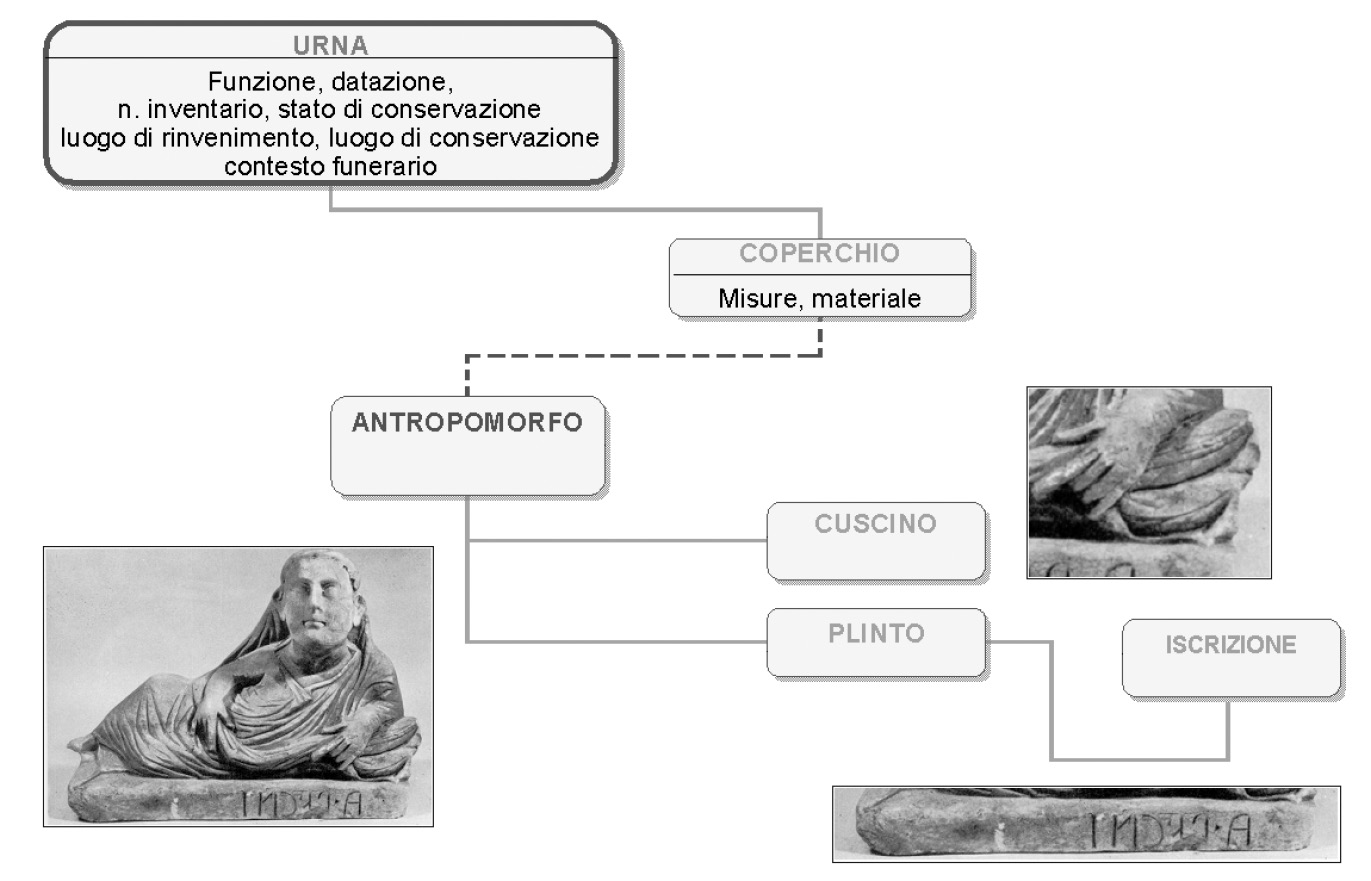 Fig. 10 – Rappresentazione di alcune delle parti in cui è stato scomposto il coperchio antropomorfo.