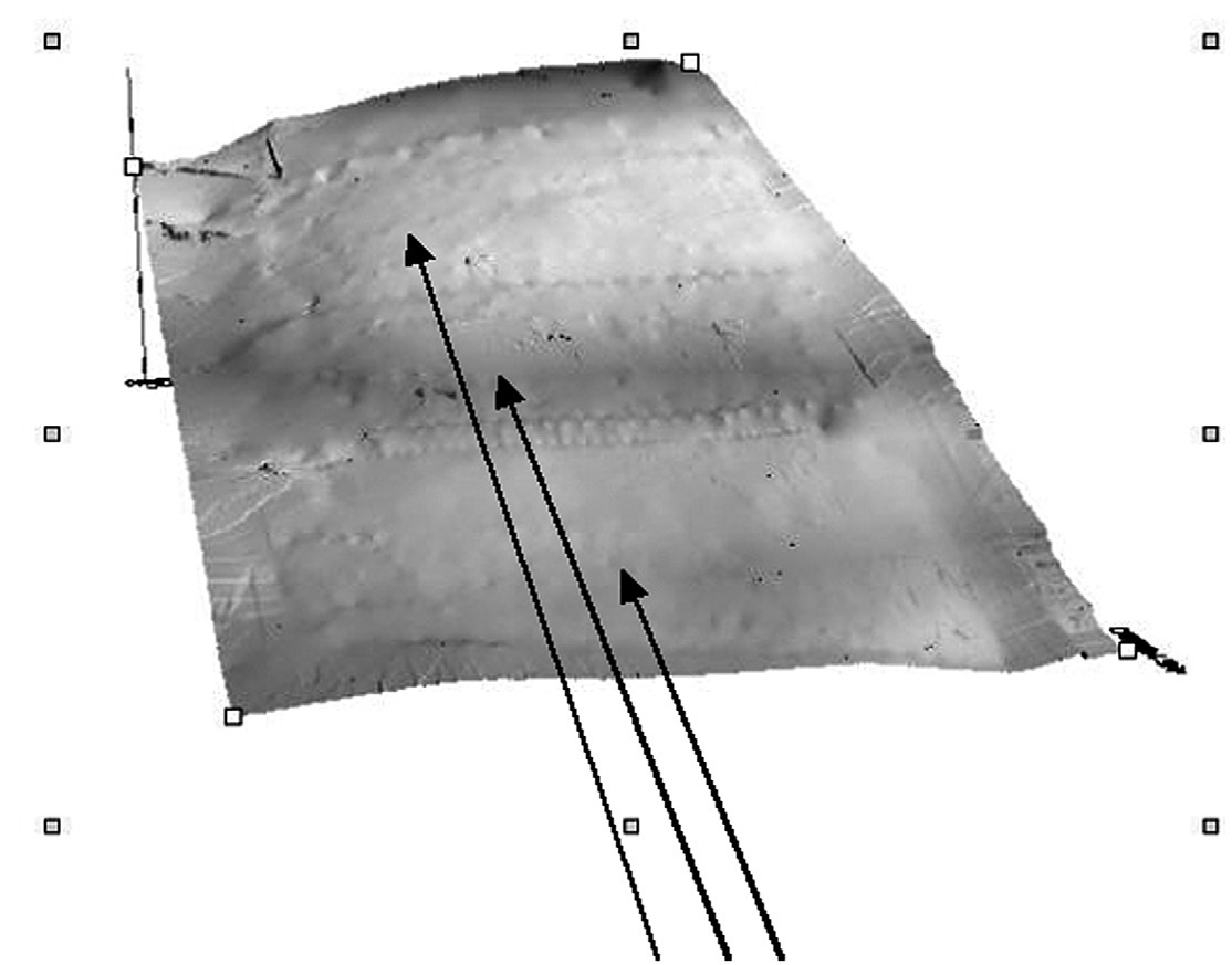 Fig. 7 – Particolare dell’area della vigna. L’elaborazione shaded evidenzia la presenza di terrazzamenti artificiali.