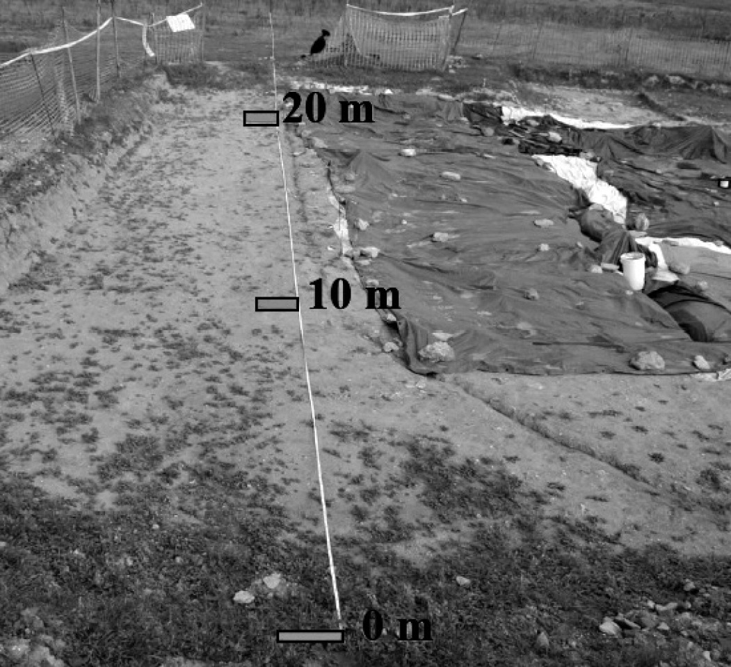 Fig. 9 – Posizionamento della tomografia elettrica n. 1 rispetto al lato Nord dello scavo archeologico.