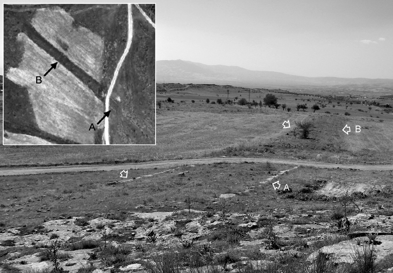 Fig. 8 – Tratto della strada antica tra Hierapolis e Tripolis (larga 8 m), pavimentata con pietrame compattato e delimitata da due margini a blocchi (A); è indicata la traccia (B) del segmento conservato all’interno di un campo coltivato a seminativo: i resti dell’asse viario non permettono i lavori agricoli determinando lacrescita di vegetazione spontanea in corrispondenza delle presenze archeologiche e generando così l’anomalia riscontrabile nell’immagine satellitare.