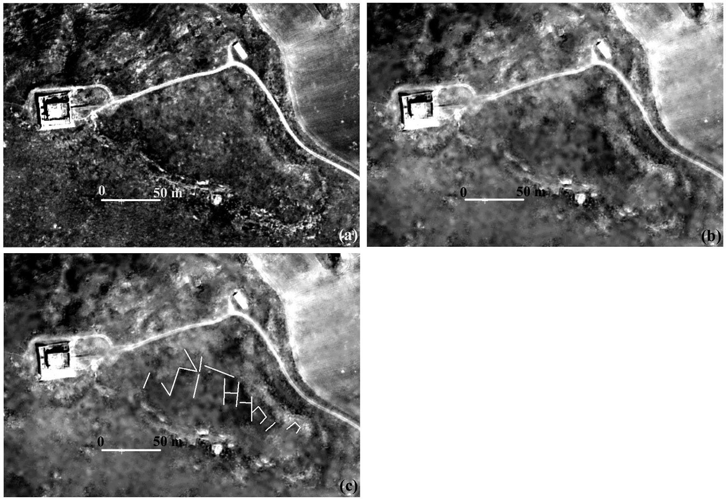 Fig. 14 – Monte Serico: (a) pancromatico; (b) canale rosso (prodotto del data fusion); (c) immagine precedente con individuazione delle tracce di interesse archeologico.