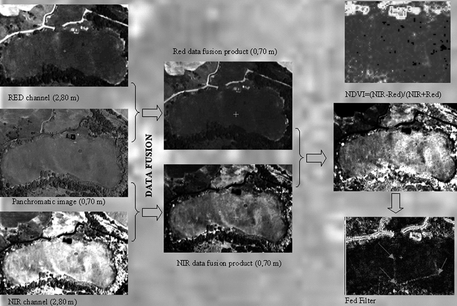 Fig. 15 – Jure Vetere: fasi di elaborazione delle immagini (data fusion, enhancement con indici di vegetazione NDVI ed edge detection con Fed Filter).