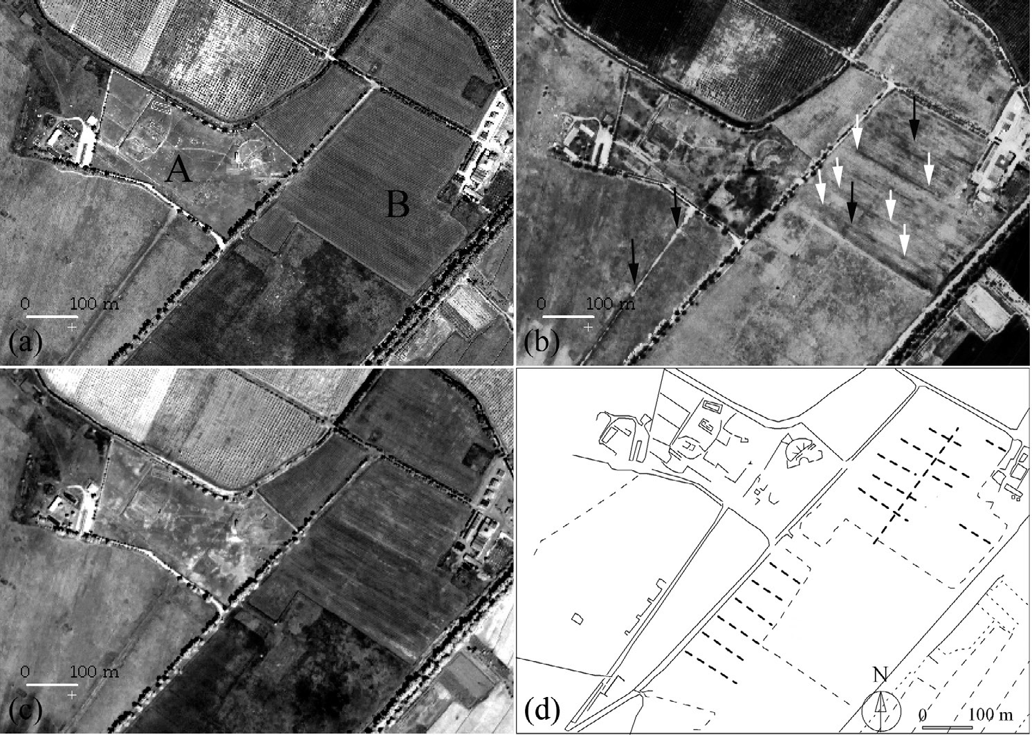 Fig. 16 – Metaponto, sito A: (a) immagine pancromatica; (b) prodotto della PCA2; (c) VIR; (d) ricostruzione delle feature rilevate a sud ed a sud-ovest del Parco Archeologico, riferibili ad una plateia, orientata SO-NE, ed agli stenopoi, orientati SE-NO (v. frecce rispettivamente nere e bianche in b) che si sviluppano in continuità e con lo stesso orientamento della maglia urbana già conosciuta.