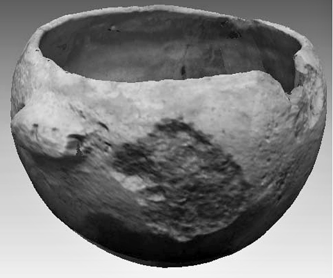 Fig. 3 – Vessel after the hole-filling application.