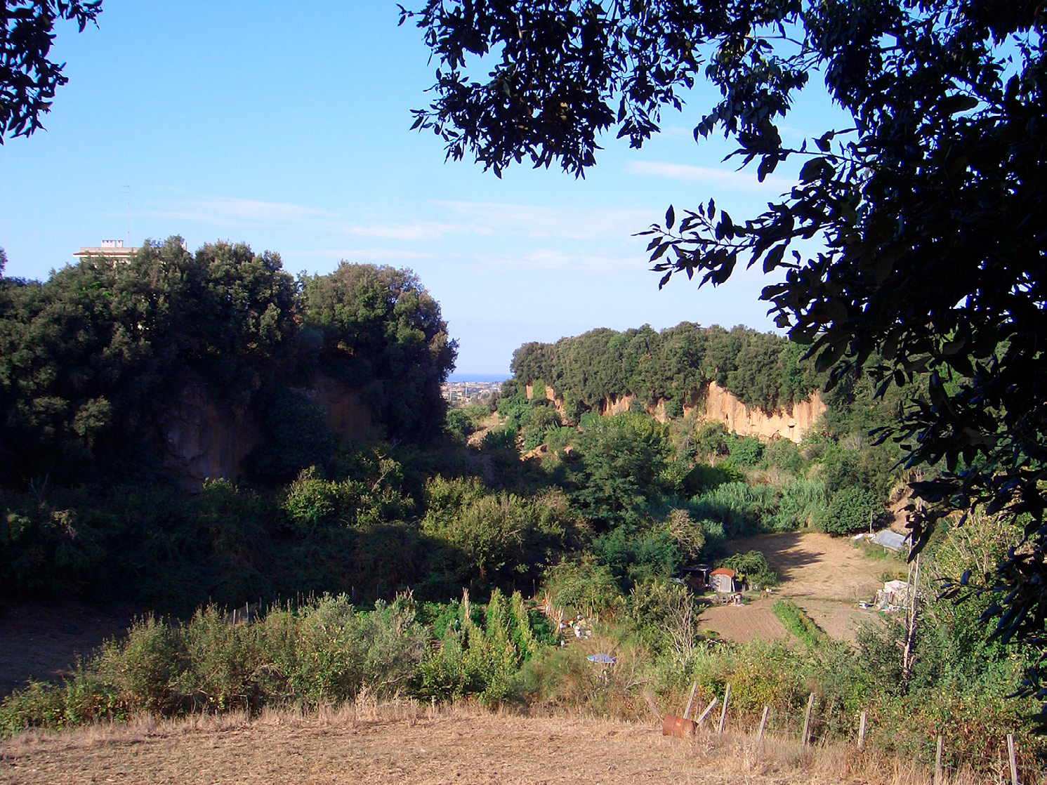 Fig. 2 – A typical Caeretan landscape.