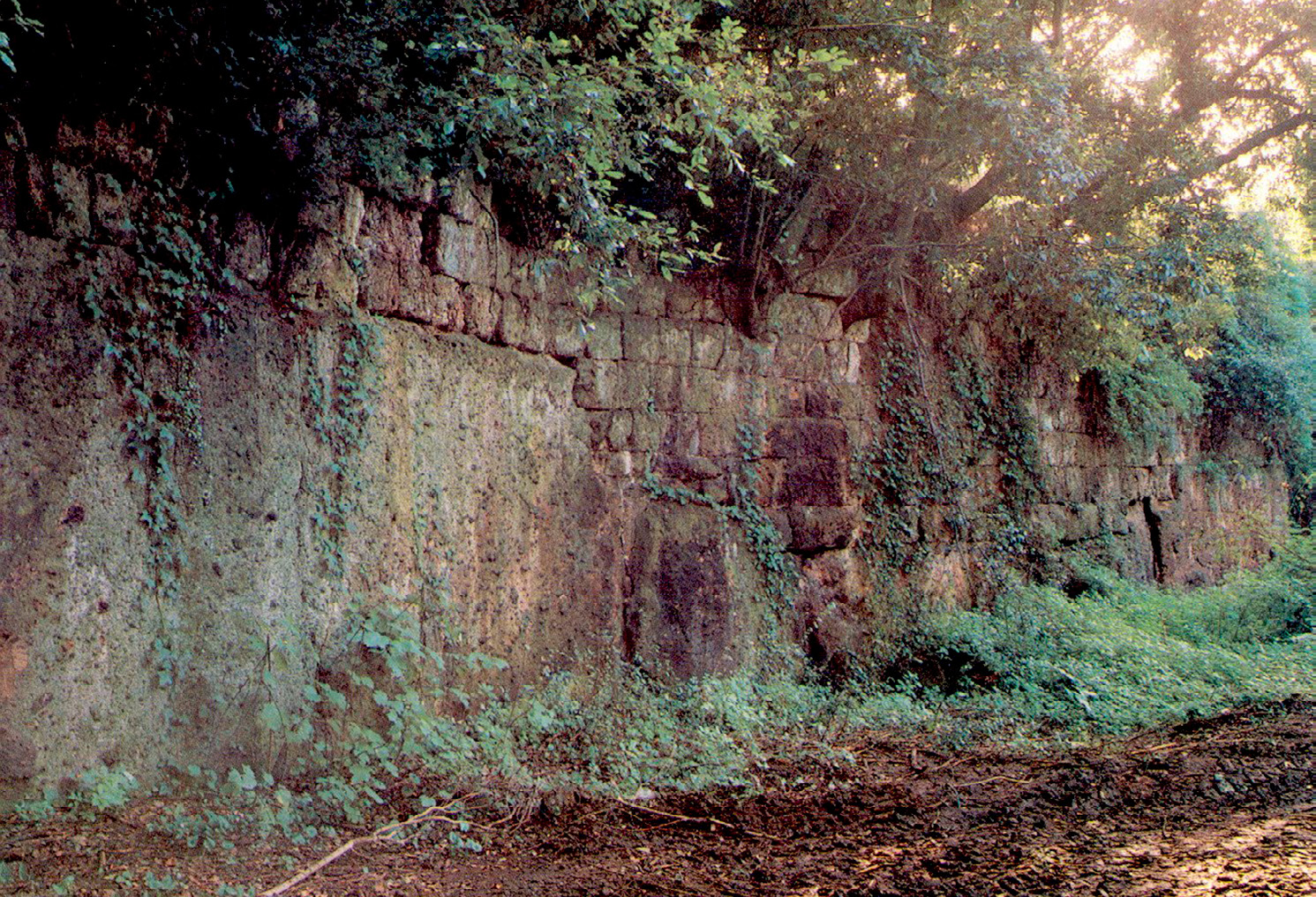 Fig. 10 – Caere: part of the original tufa walls.