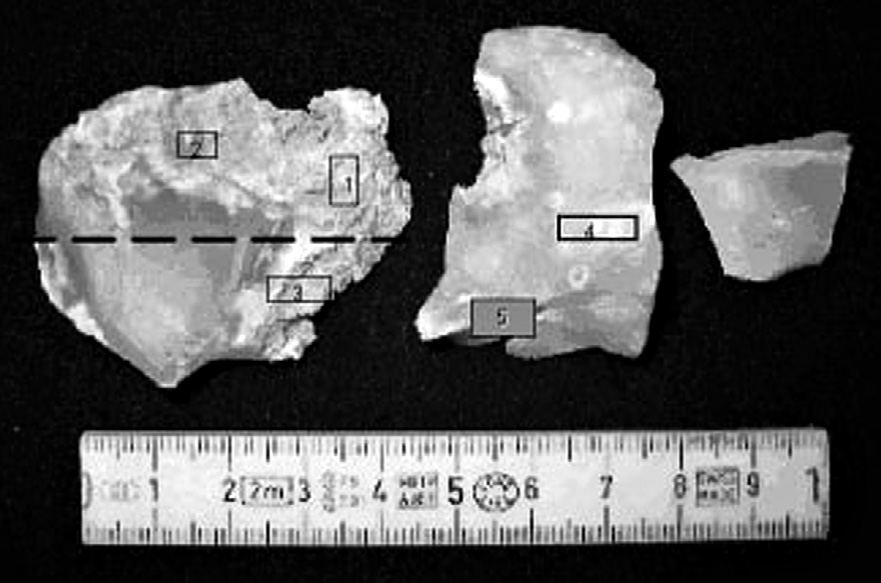 Fig. 6 – Les différentes zones observées sur l’objet archéologique.