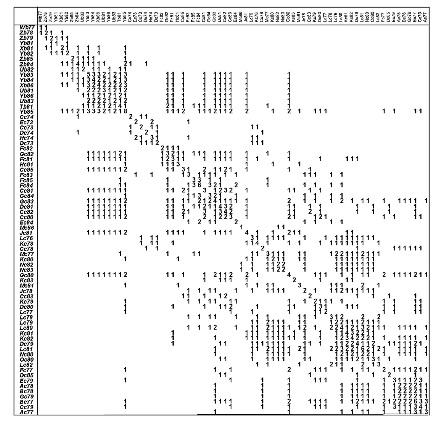 Fig. 6 – Tableau de co-occurence du nombre de vases possédant des fragments répartis dans les mètres carrés pris deux-à-deux.