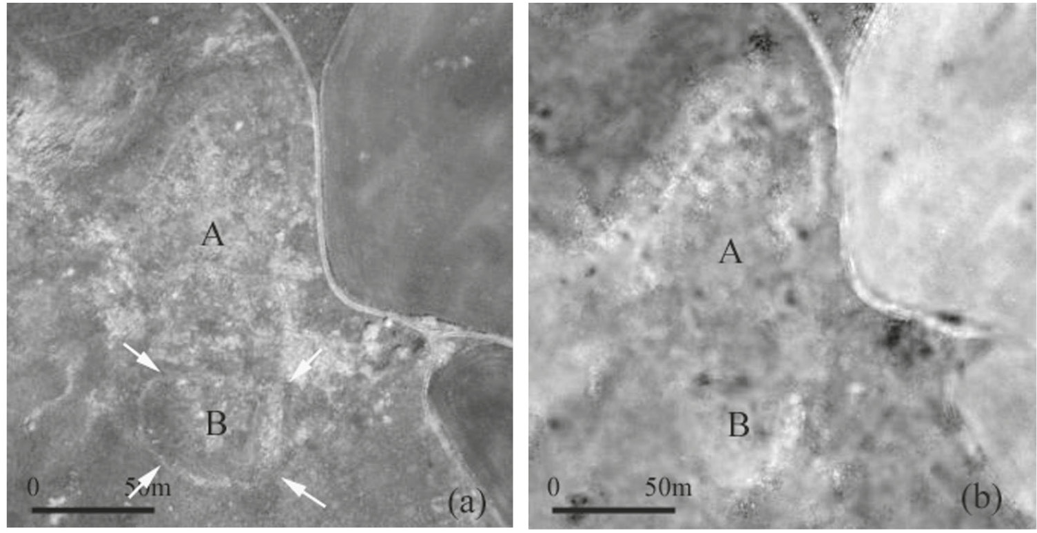 Fig. 4 – NIR pansharpened band. A ditched enclosure (B) and traces of surface walls of the castle (b1) are evident. Fig. 5 – NDVI map which puts in evidence not only the defence system but also a urban sector (a1) sited along the western border of the hilly plateau.