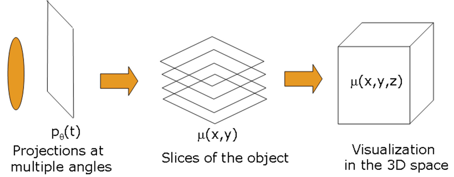 Fig. 3 – The filtered backprojection algorithm yields slices of the measured object. These slices are finally stacked with the help of a visualisation software, to deliver the 3D image of the object.